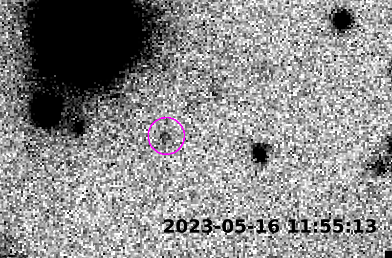 A Grainy Black-and-White Blob works on a grainy black-and-white background