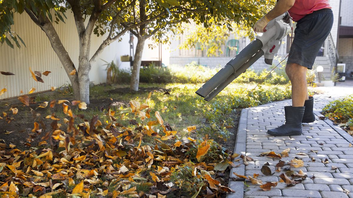 Man wearing rubber boots and shorts using a leaf blower on a path and lawn.