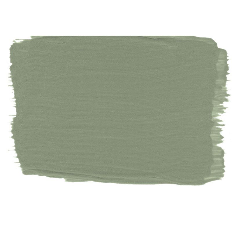 earthy green paint swatch