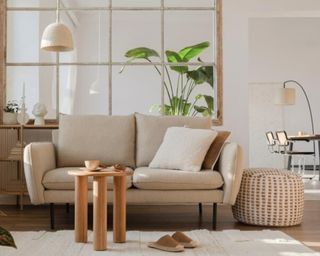 Small neutral living room with beige sofa