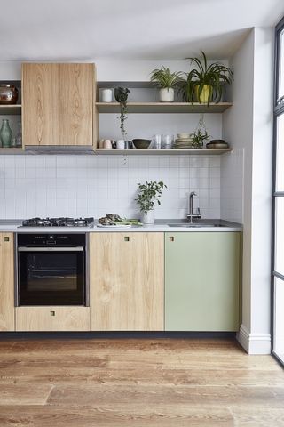 Pluck sage green kitchen cabinet