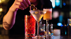 A variety of cocktails placed on a bar 