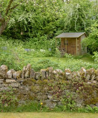 A stone wall in front of a lawn, trees and a shed