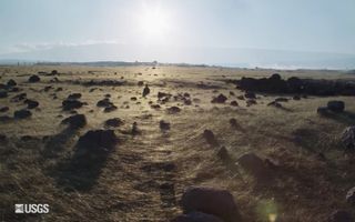 Pele's hair carpets the ground in Hawaii.