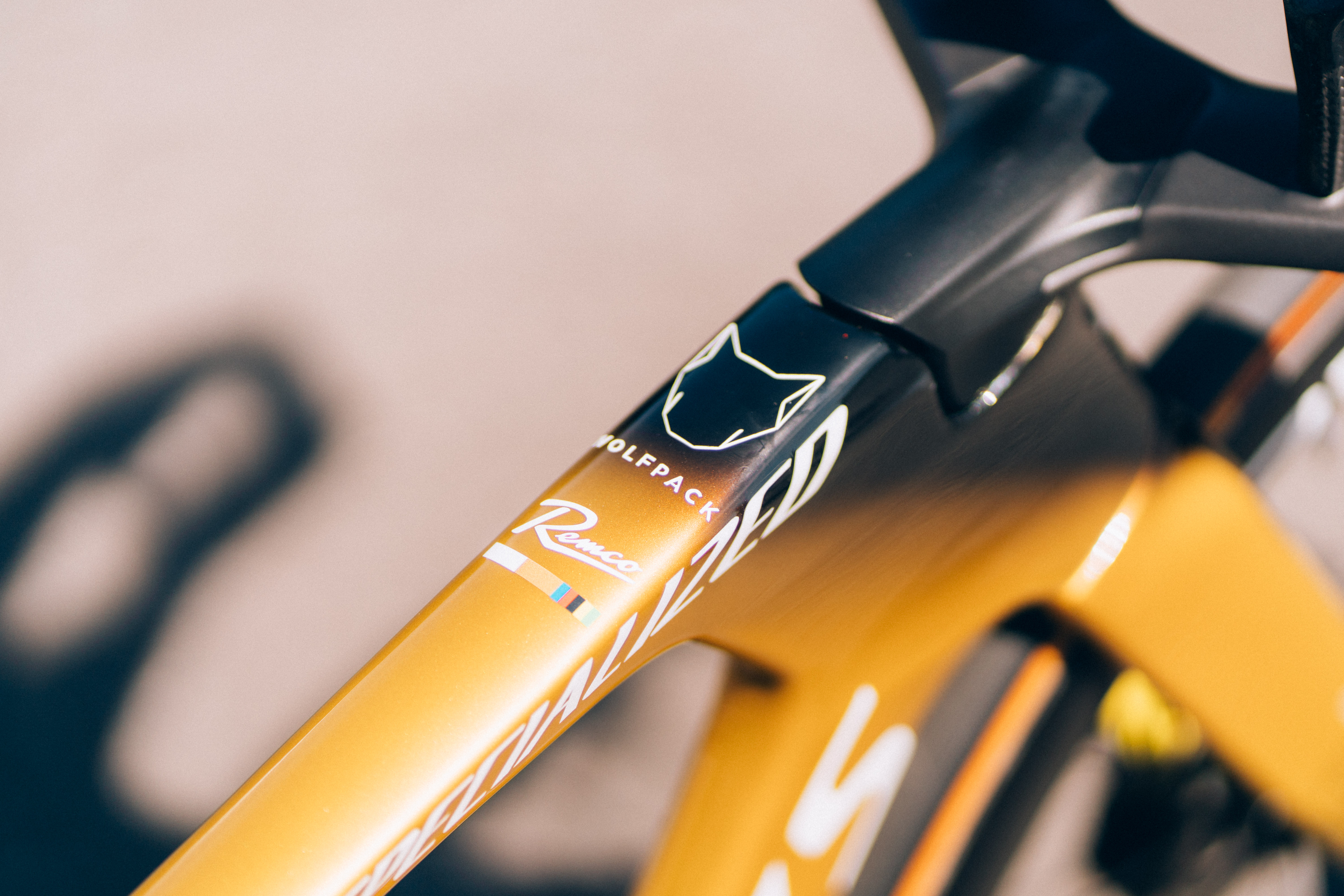 Remco Evenepoel's time trial bike
