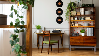 Study with plants on shelves