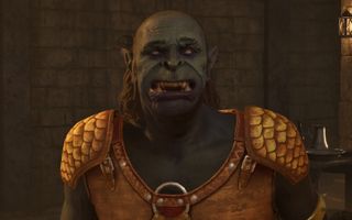 A funny looking character in Oblivion