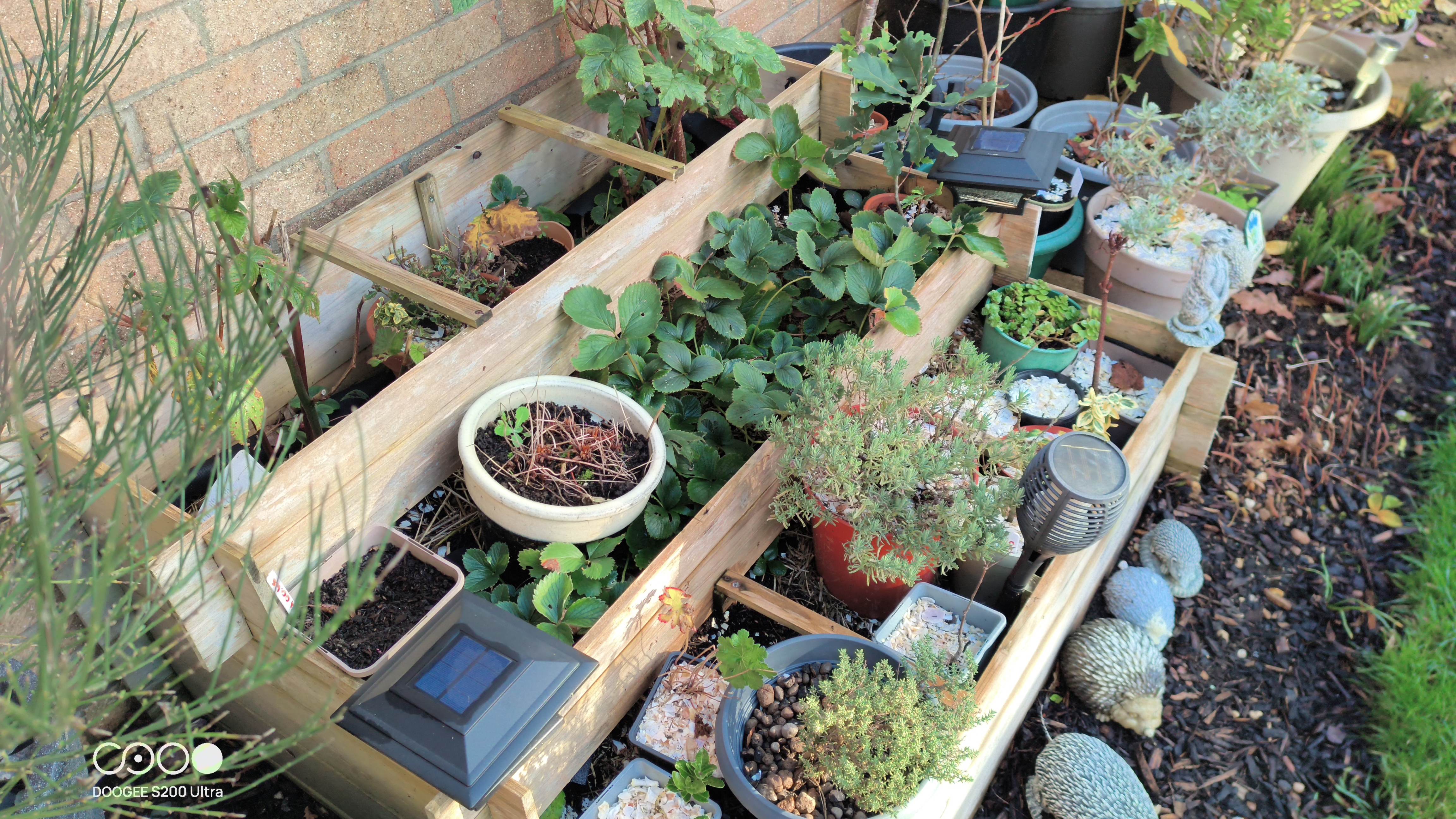 Doogee S200 Ultra Photo Examples