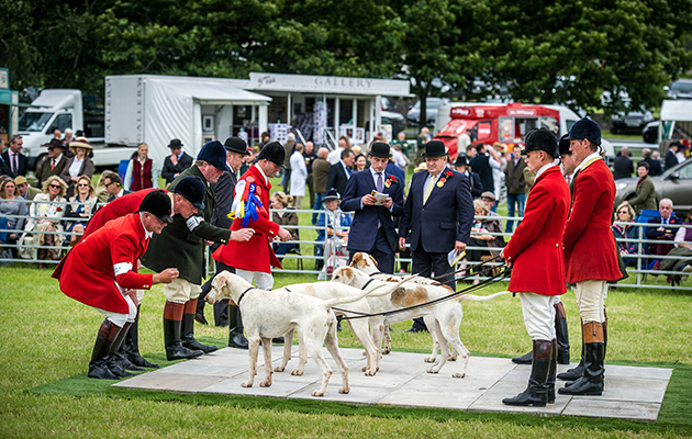 Albrighton and Woodland Halfpenny — nearest the camera — claims the special local prize