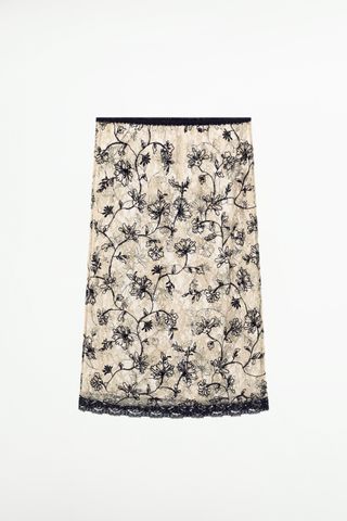 Embroidered Lace Skirt