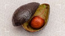 Photo of an empty avocado on a kitchen counter using skins and stone to support a guide on how to use avocados in your garden
