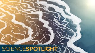 an illustration of braided streams with the silhouettes of a human face and human ancestors