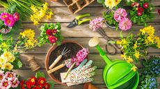 Still life of gardening tools, plants and accessories