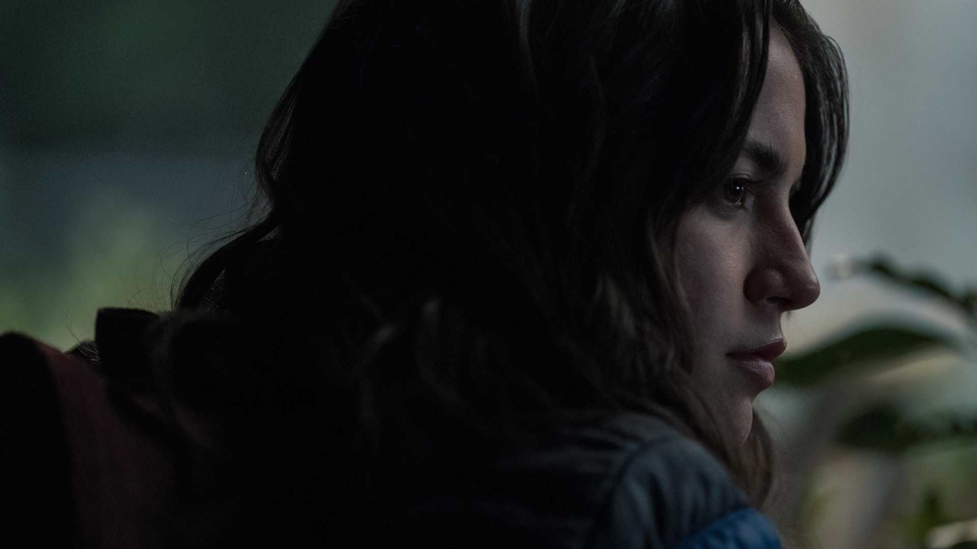 The Last of Us season 2