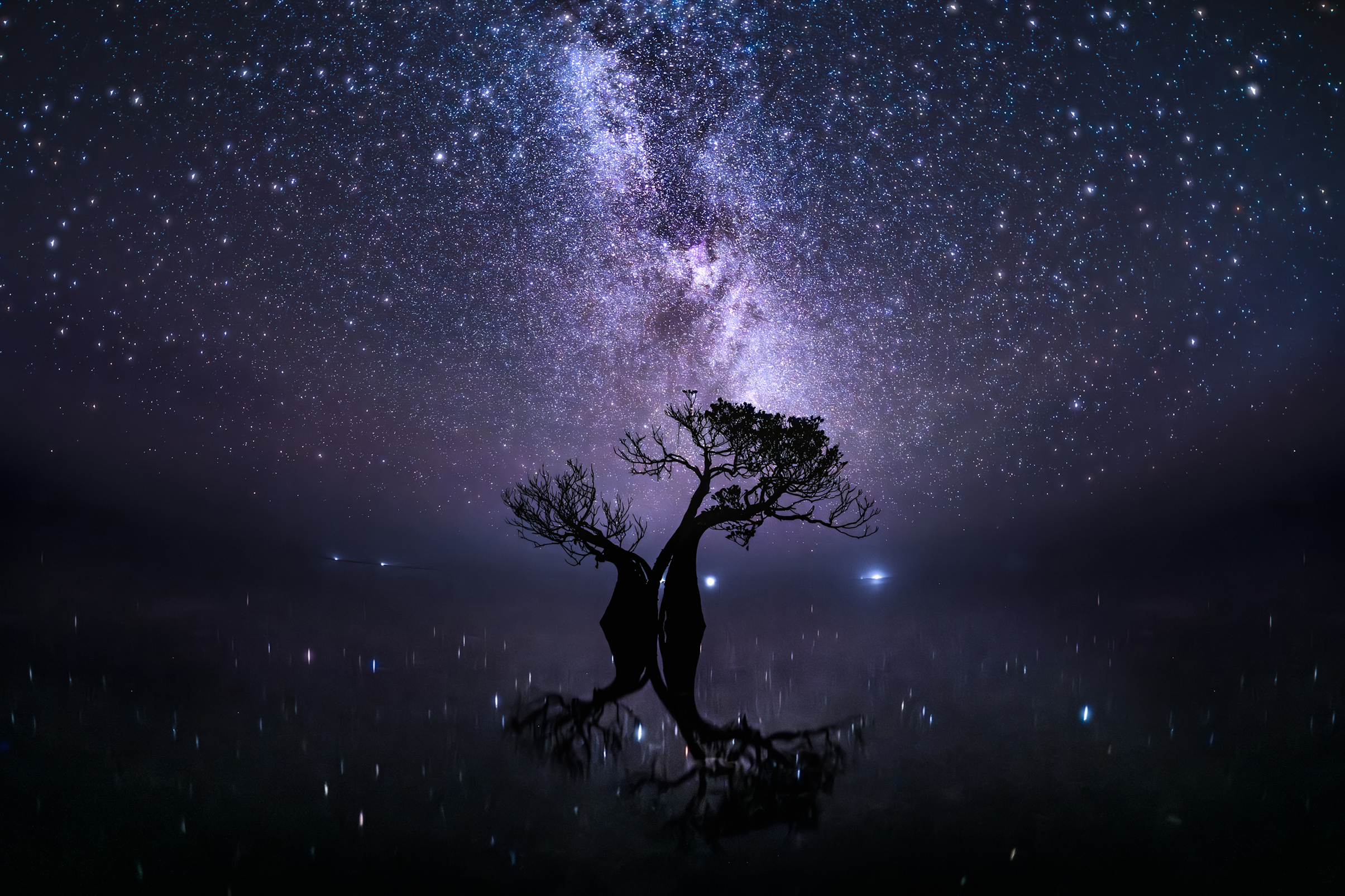 Silhouetted lone tree reflected on calm water under a vibrant starry night sky and the Milky Way