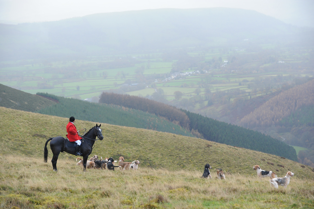 TowyandCothi_Hunt14pn_51693