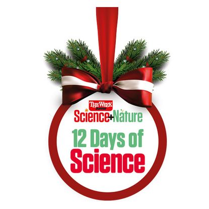 12 Days of Science