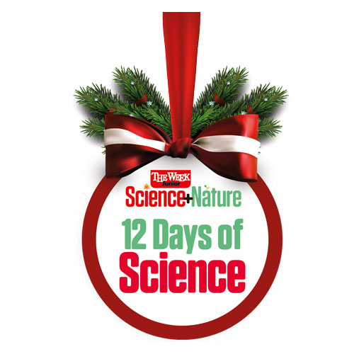 12 Days of Science