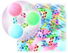 An ordinary proton or neutron (foreground) is formed of three quarks bound together by gluons, carriers of the color force. Above a critical temperature, protons and neutrons and other forms of hadronic matter "melt" into a hot, dense soup of free quarks 