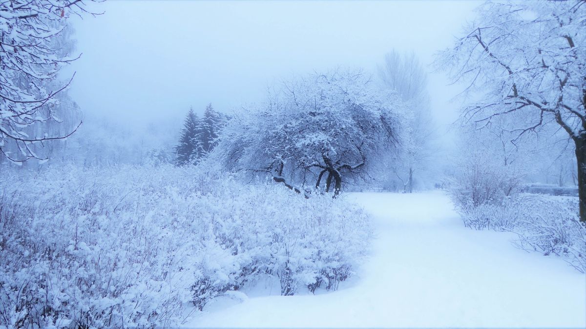 anyzark - Poland
