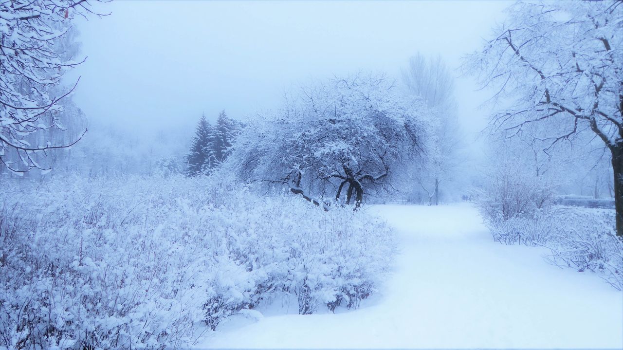 anyzark - Poland