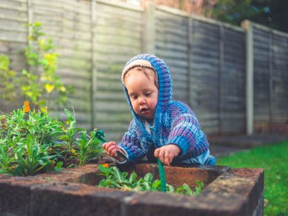Child Near A Small Raised Garden Bed