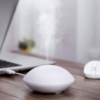 BBSKIN USB Essential Oil Diffuser|Currently $15.99