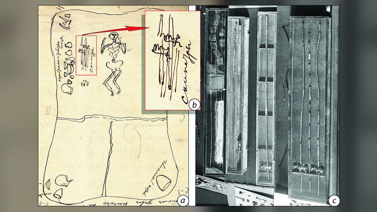 The Maikop kurgan: a&ndash;b) Professor Nikolai Veselovsky, of St. Petersburg University, made this sketch in 1897 of the primary burial, showing the position of the eight gold and silver tubes (marked in Russian as "sceptres"); с) part of an 1898 photograph, showing one complete and seven broken, partly corroded "scepters" in four boxes.