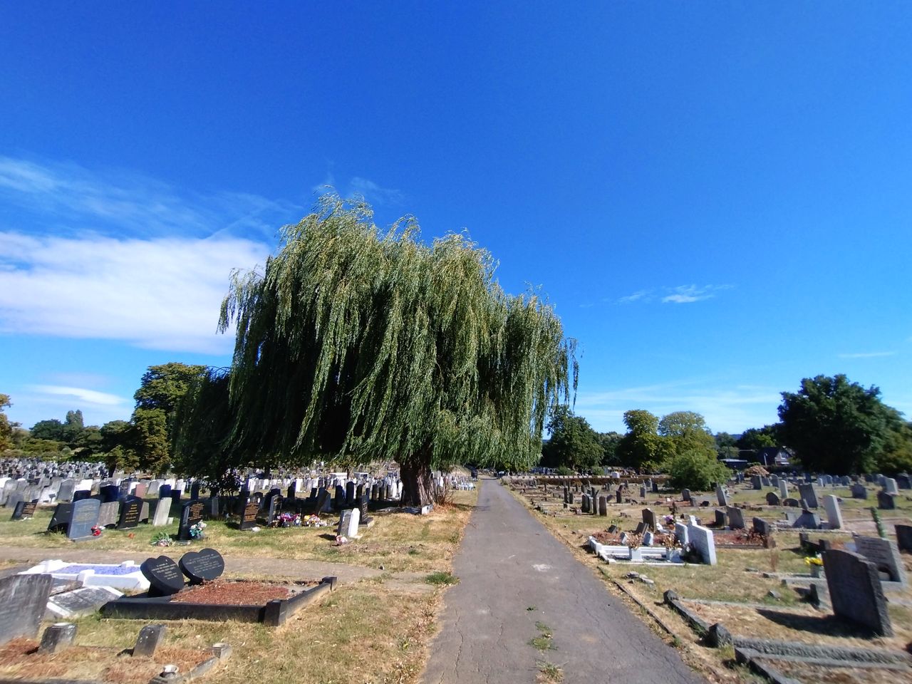Sony Xperia 10 IV camera sample image