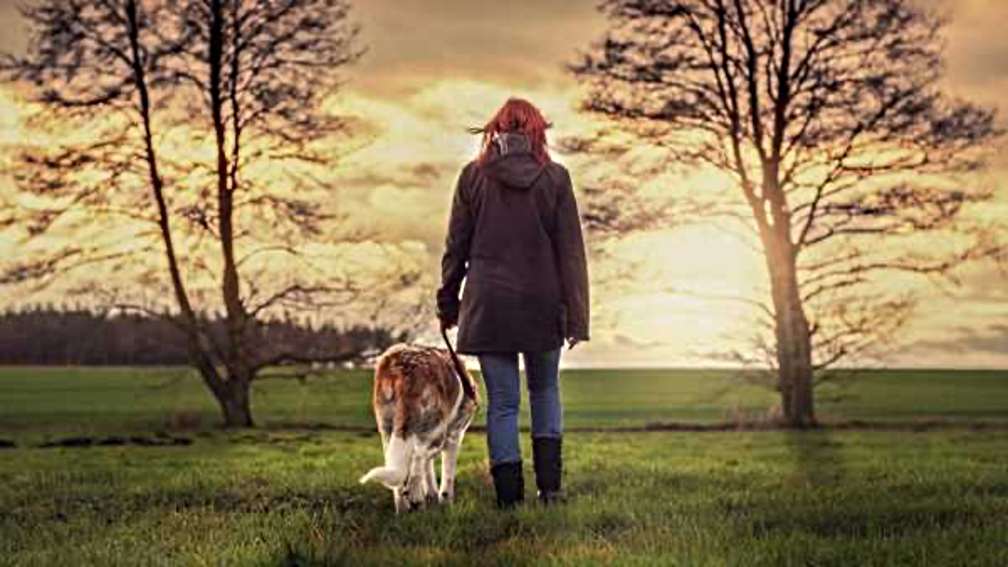 یک سگ و صاحبش در خارج از The Retreat در Elcot Park قدم می زنند