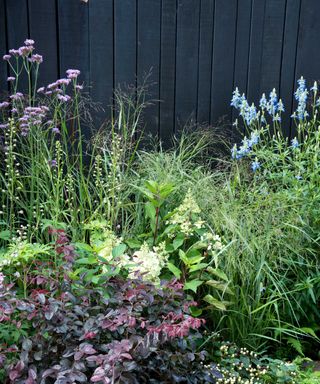 planting and black fence at Gaze Burvill stall chelsea 2021
