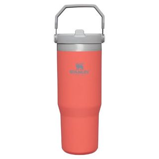 ICEFLOW™ FLIP STRAW TUMBLER | 0.89L