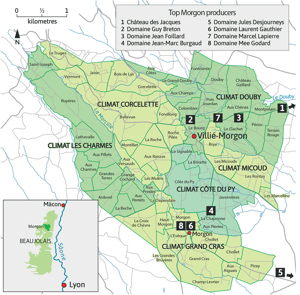 Morgon-wine-map-FINAL.jpg