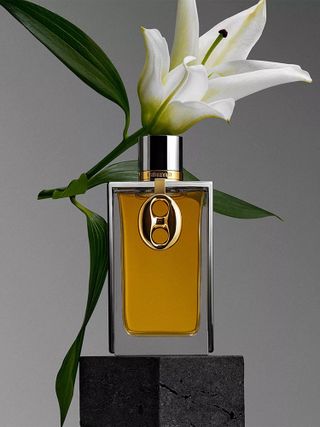 Rabanne perfume