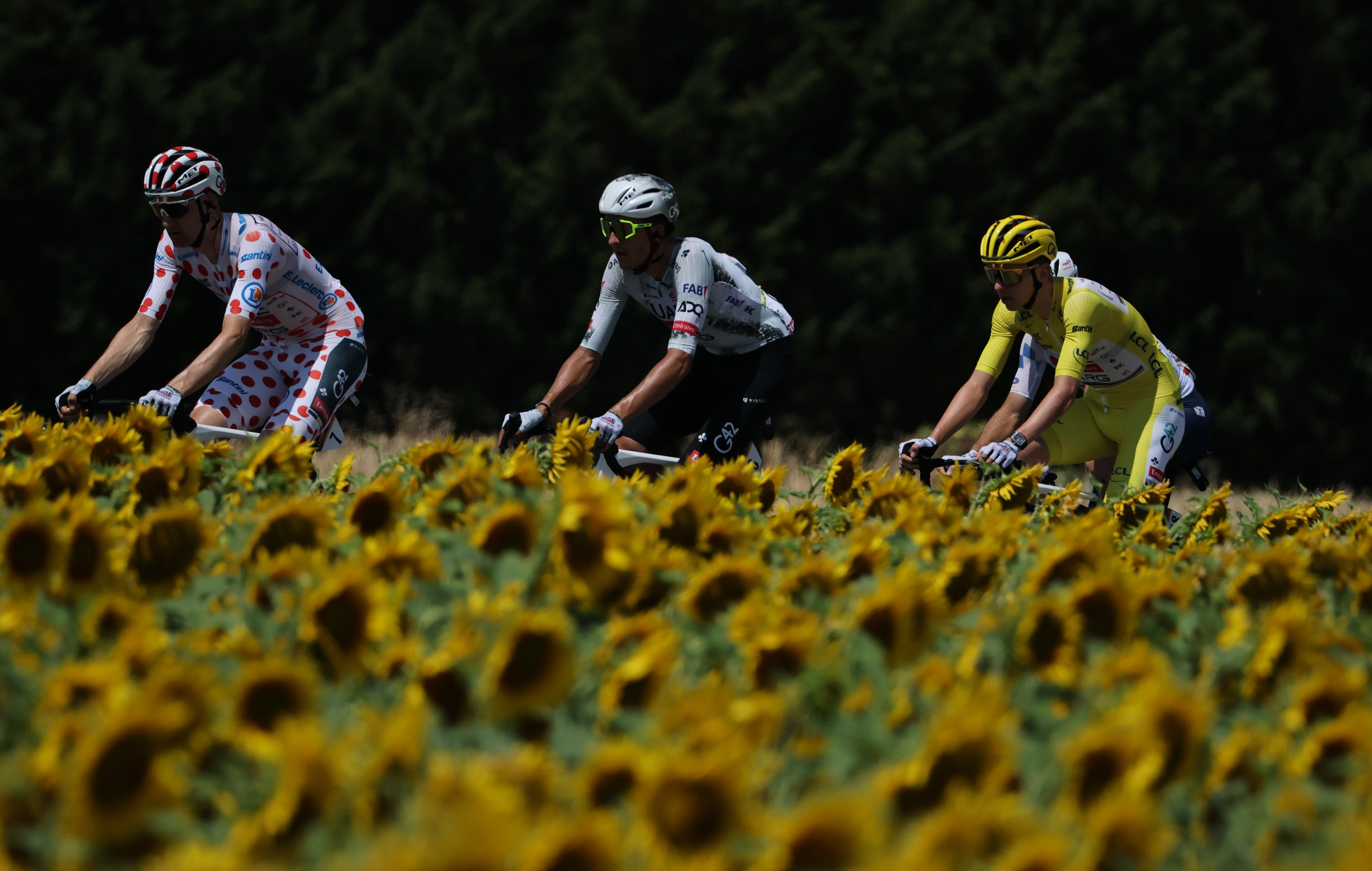 'This Tour is growing me old' - Tadej Pogačar hints at defensive tactics for first mountain stage after losing wingman João Almeida