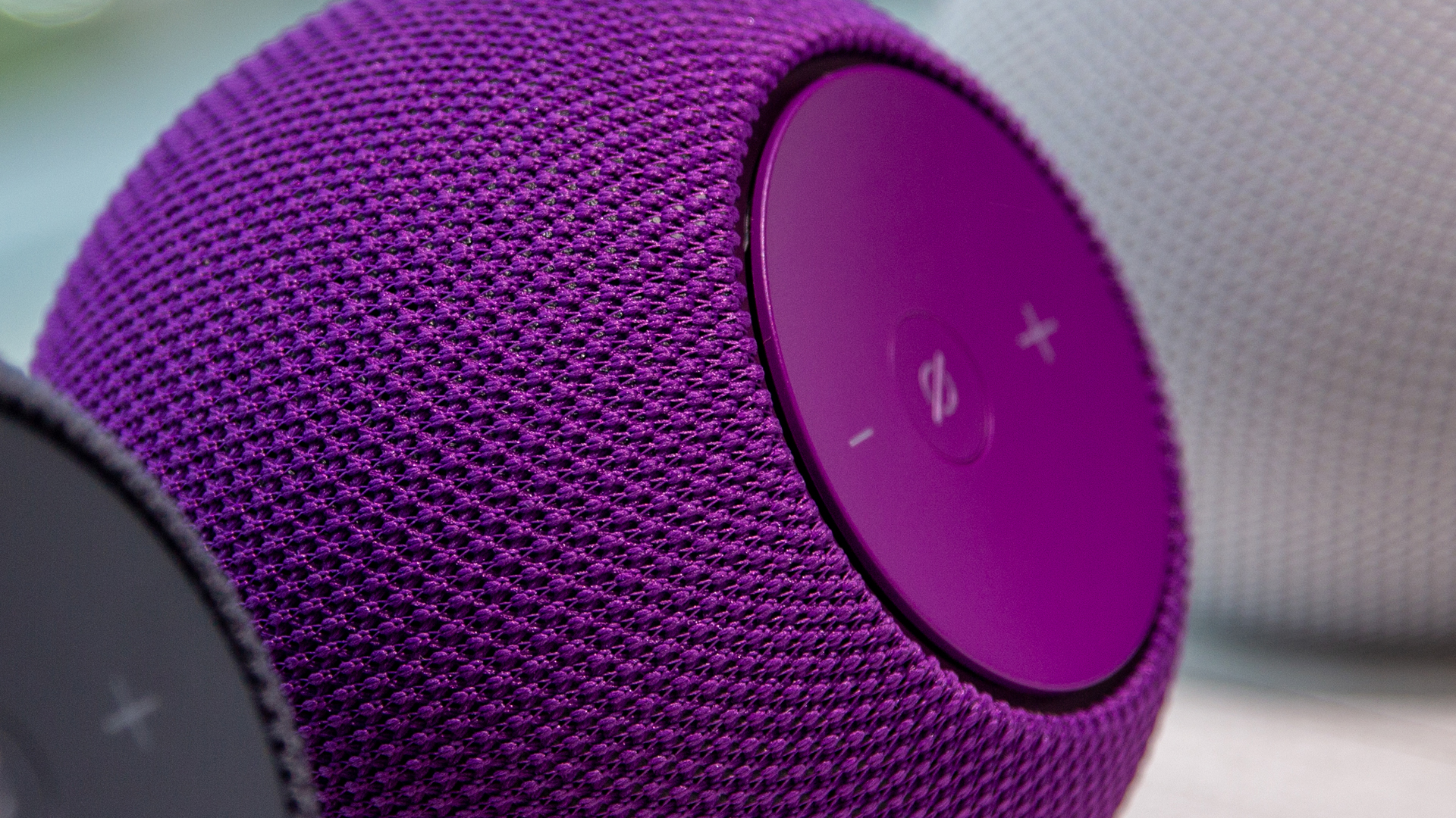 amazon echo dot max