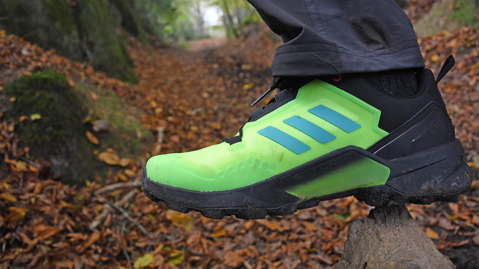 dinastía Organo Lijadoras Adidas Terrex Swift R3 GTX hiking shoes review | Advnture