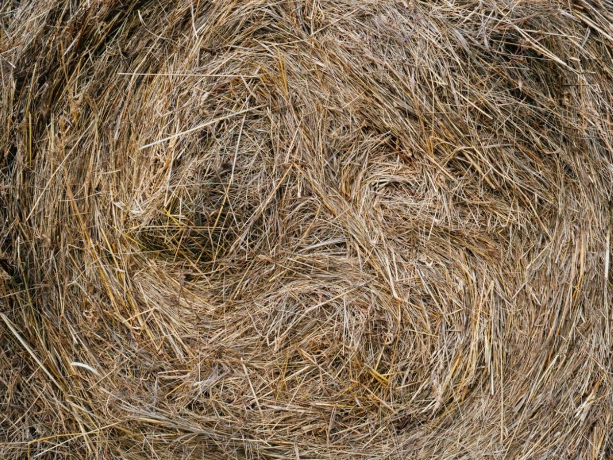 Hay For Compost Tips For Using Hay In Compost Piles Gardening Know How