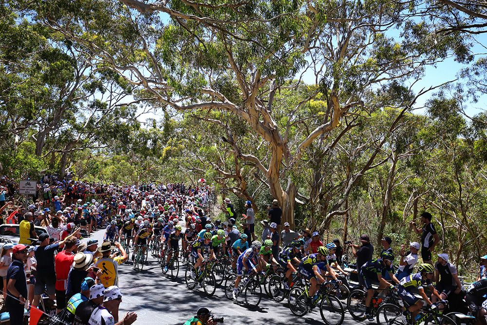The peloton hits the climb