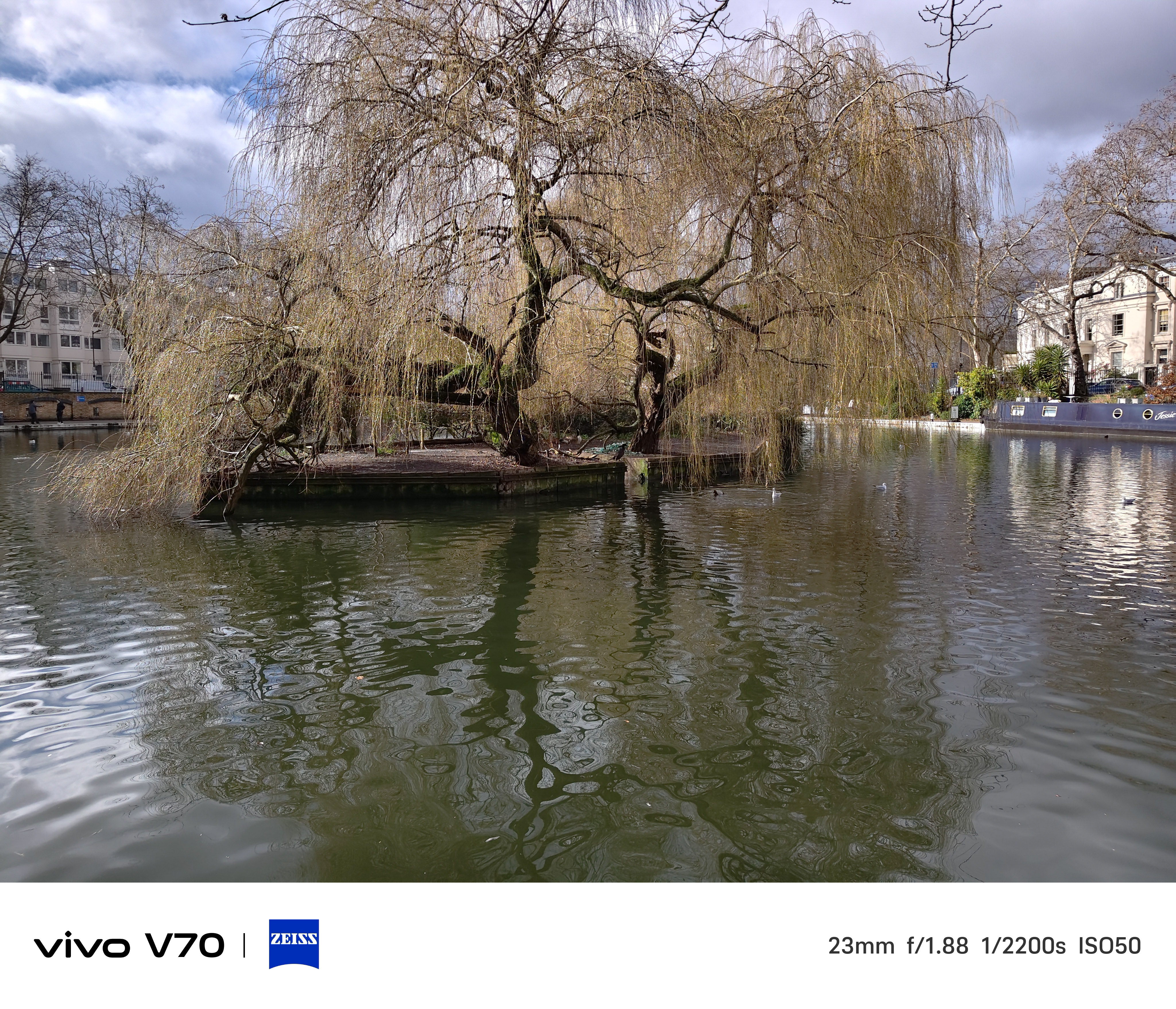 Standard wide view of willow tree and pond with ducks on water.