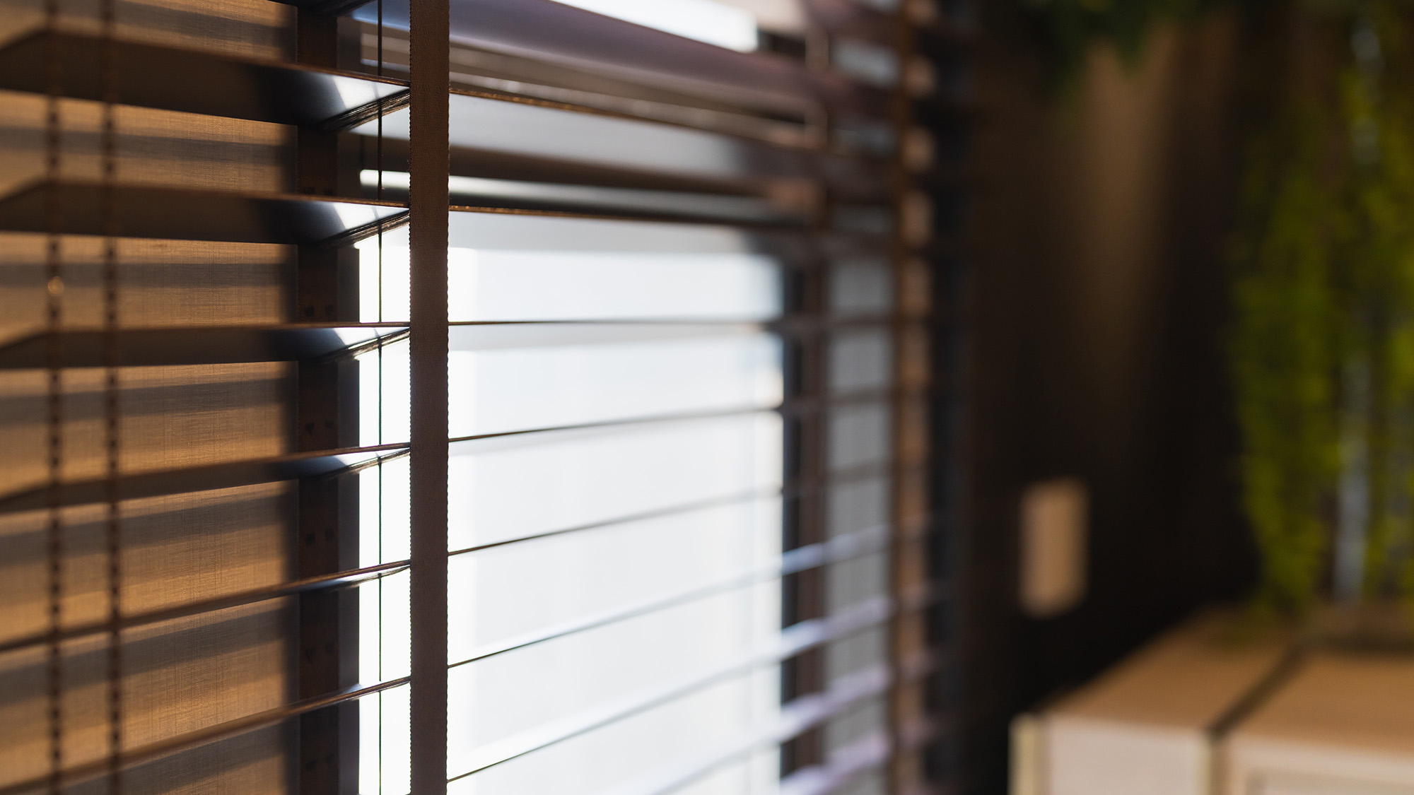 Window blinds