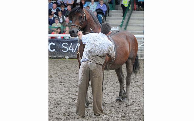 Not quite show ring ready&hellip;