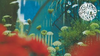 Cover art for Pulled Apart By Horses - The Haze album