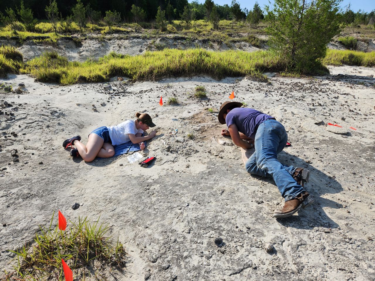 a man and teenage girl excavating a whale skull on a hot sunny day