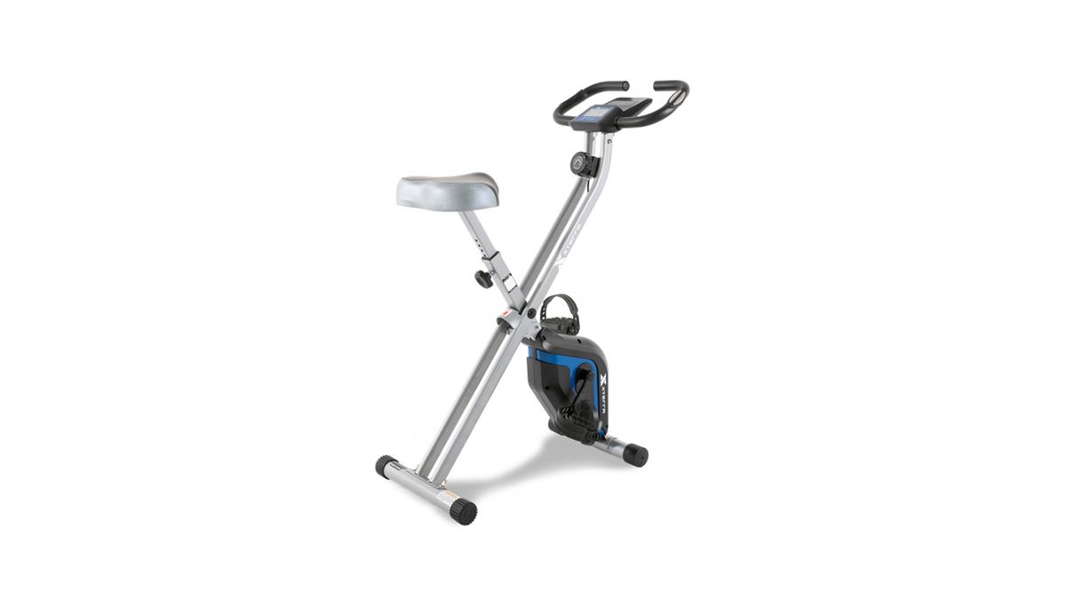 xterra spin bike costco