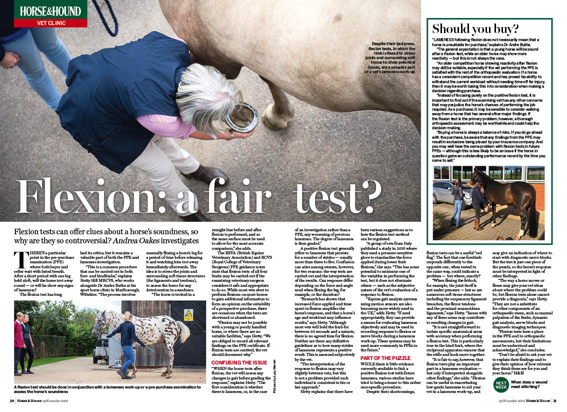 VET-2pp-Flexion-tests_final.jpg