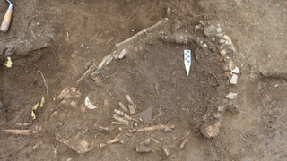 A fragmentary human skeleton is being exposed in reddish-brown soil. A north arrow points down in the middle of the burial.