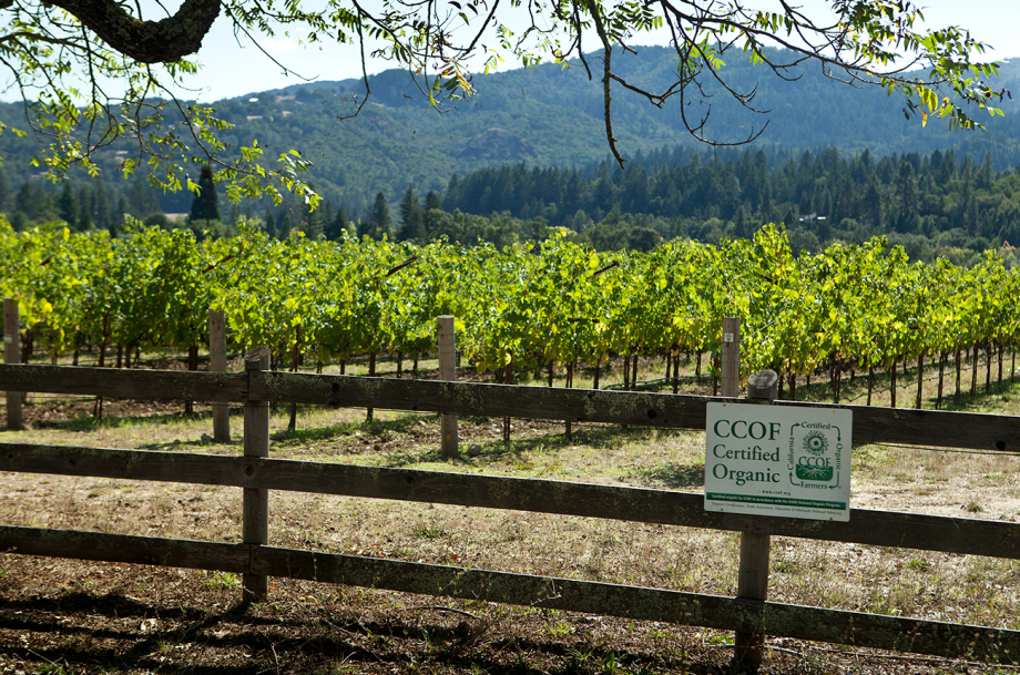 Napa Organic wineries