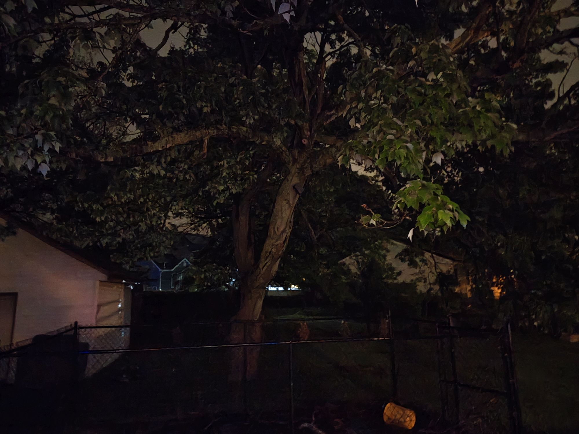 Motorola Razr Plus 2024 low light sample.