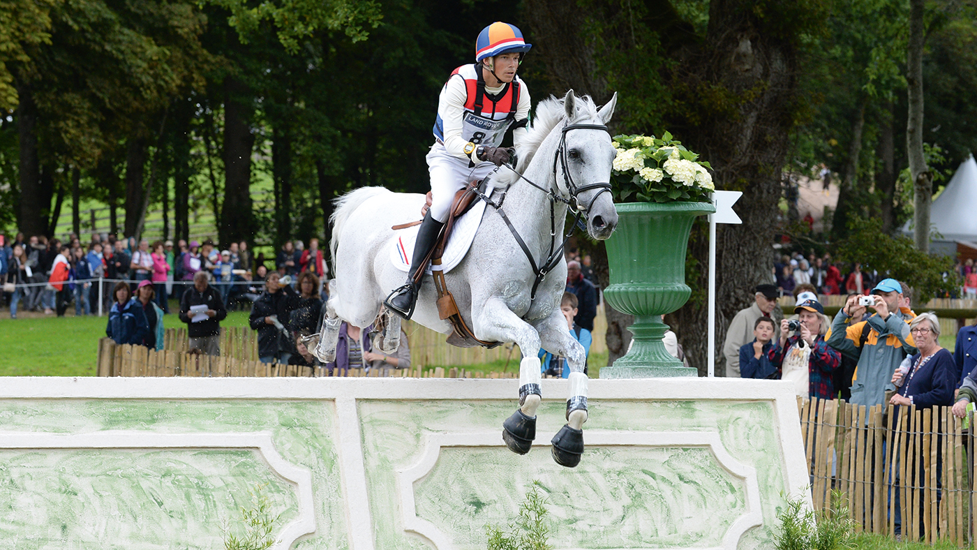 Tim Lips and Keyflow at the 2014 World Equestrian Games in Caen, France.